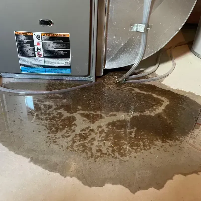 Appliance Leak Cleanup in Wilder, KY